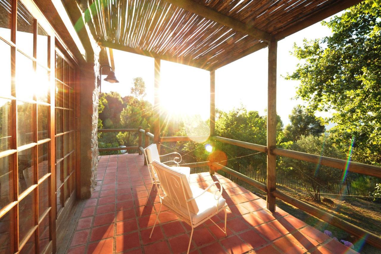 Amberg Country Estate Guest House Paarl Ngoại thất bức ảnh