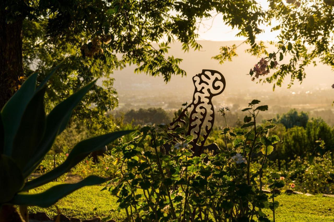 Amberg Country Estate Guest House Paarl Ngoại thất bức ảnh