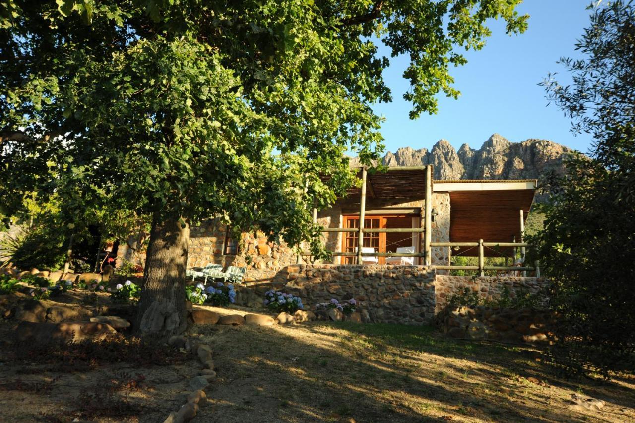 Amberg Country Estate Guest House Paarl Ngoại thất bức ảnh