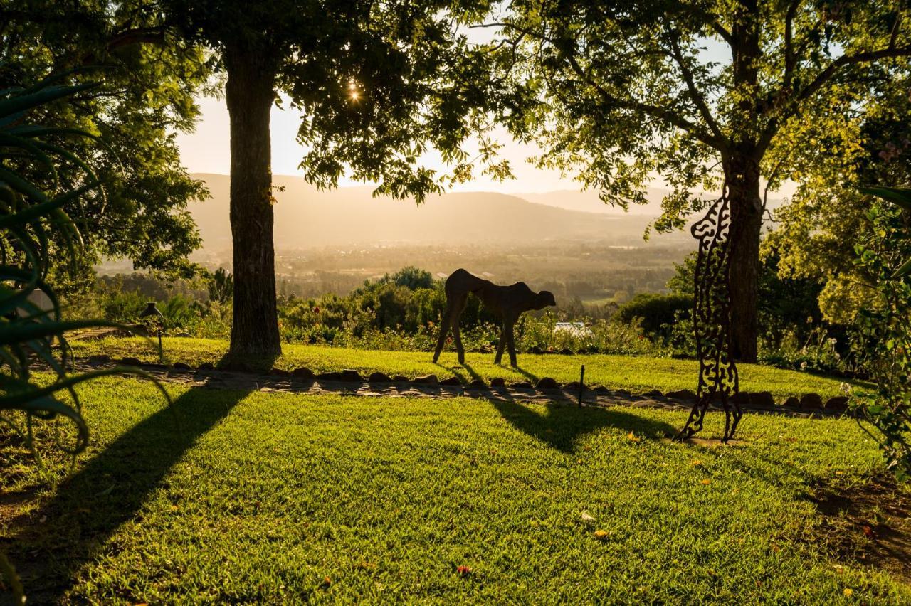 Amberg Country Estate Guest House Paarl Ngoại thất bức ảnh